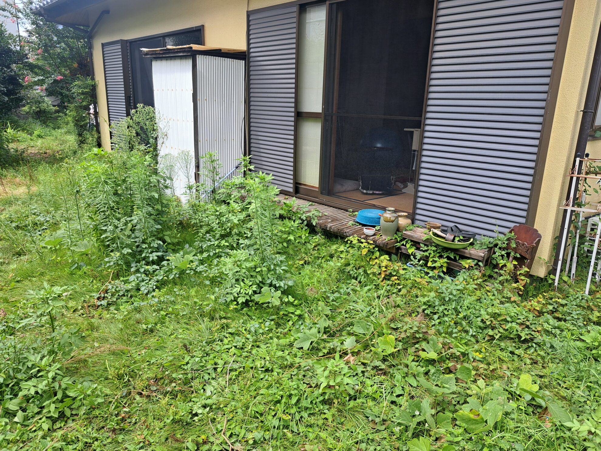 ポジティブな庭　埼玉県(入間市の事例)