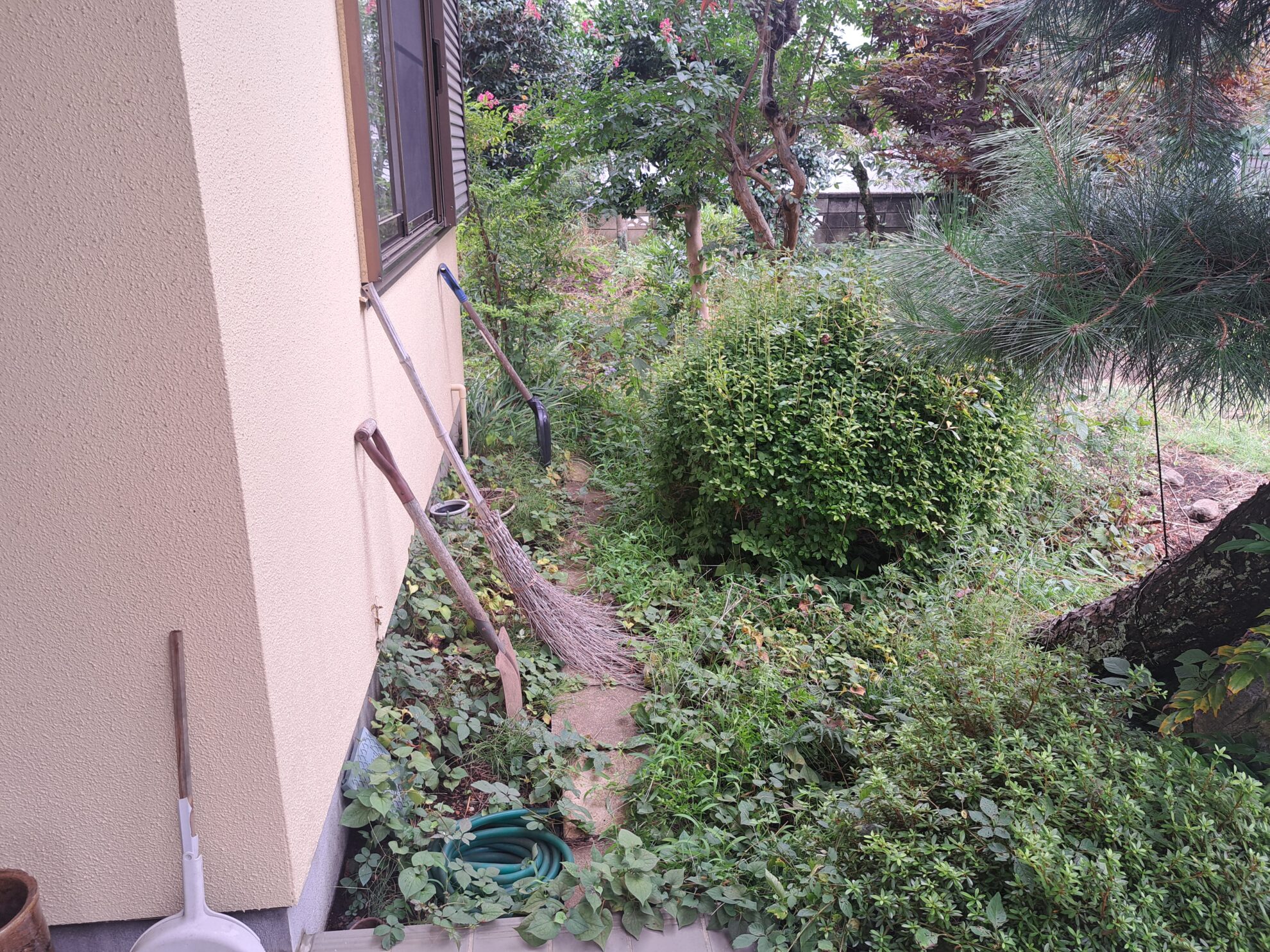 ポジティブな庭　埼玉県(入間市の事例)